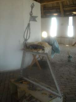 DSC08861.JPG